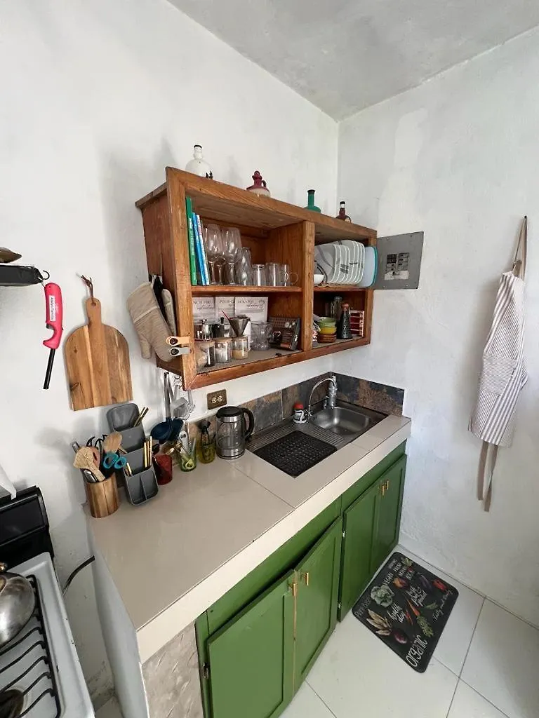 Adella'S Blue Mountain Coffee Farmstay Kingston