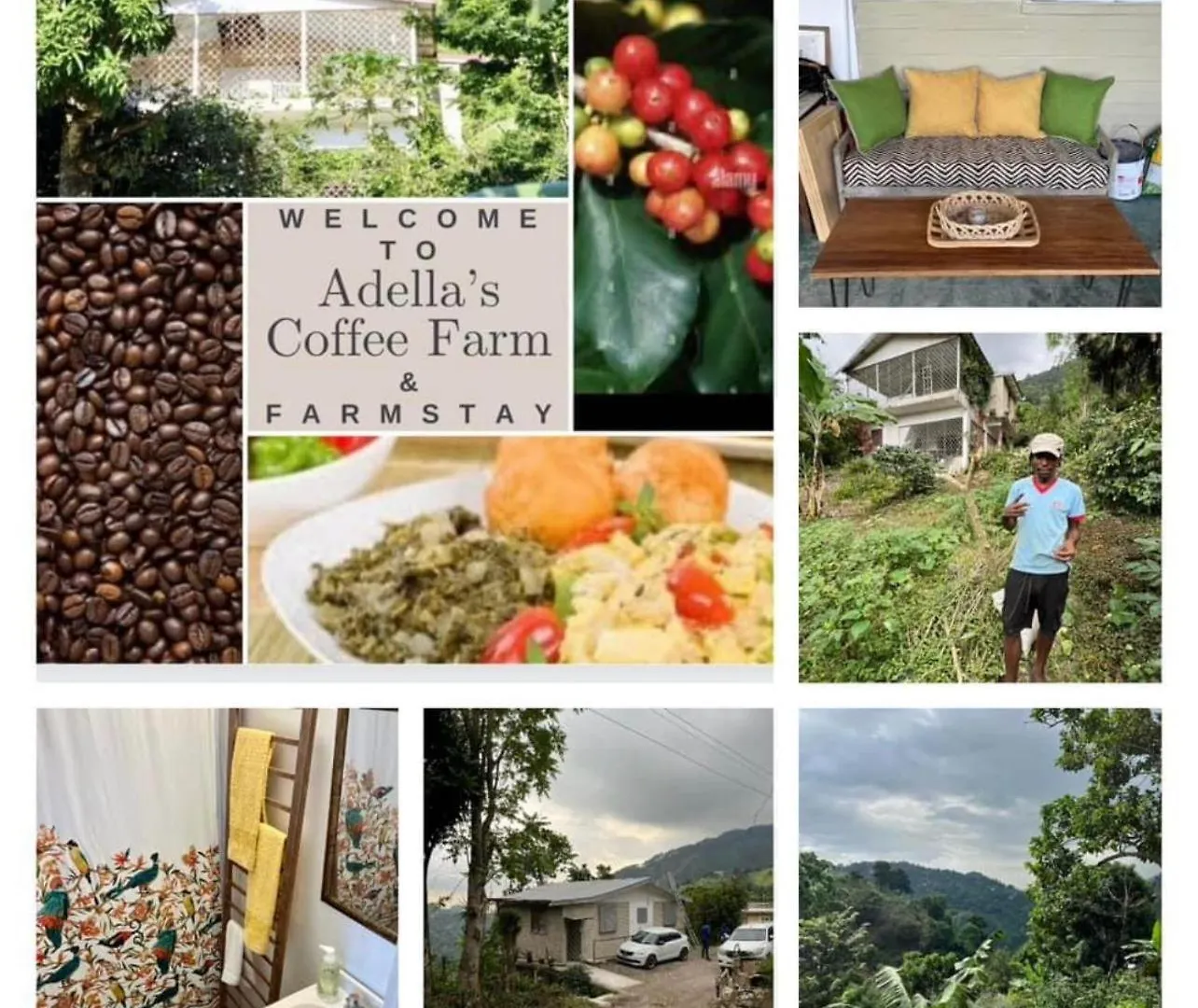 Farmház Adella'S Blue Mountain Coffee Farmstay Kingston Jamaica