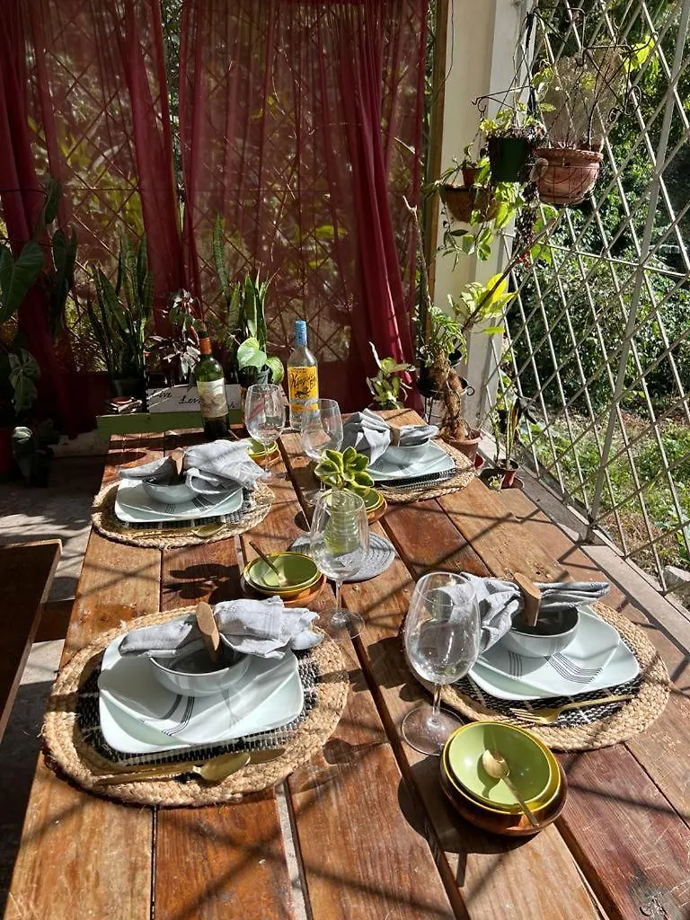 Feriegård Adella'S Blue Mountain Coffee Farmstay Kingston