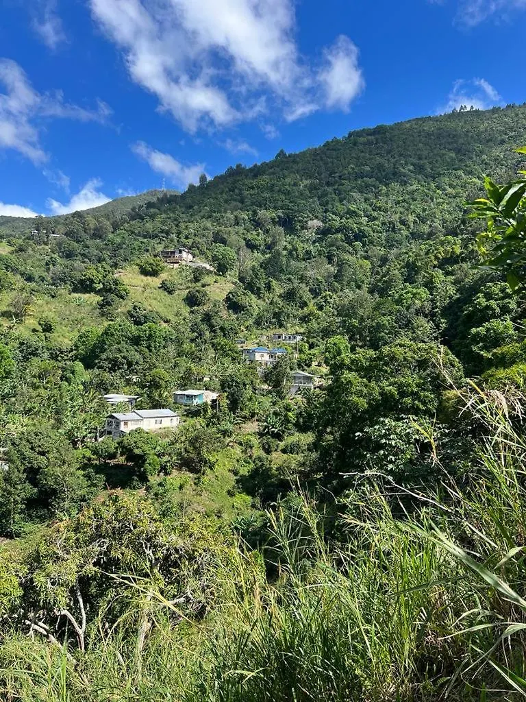 Adella'S Blue Mountain Coffee Farmstay Kingston Feriegård