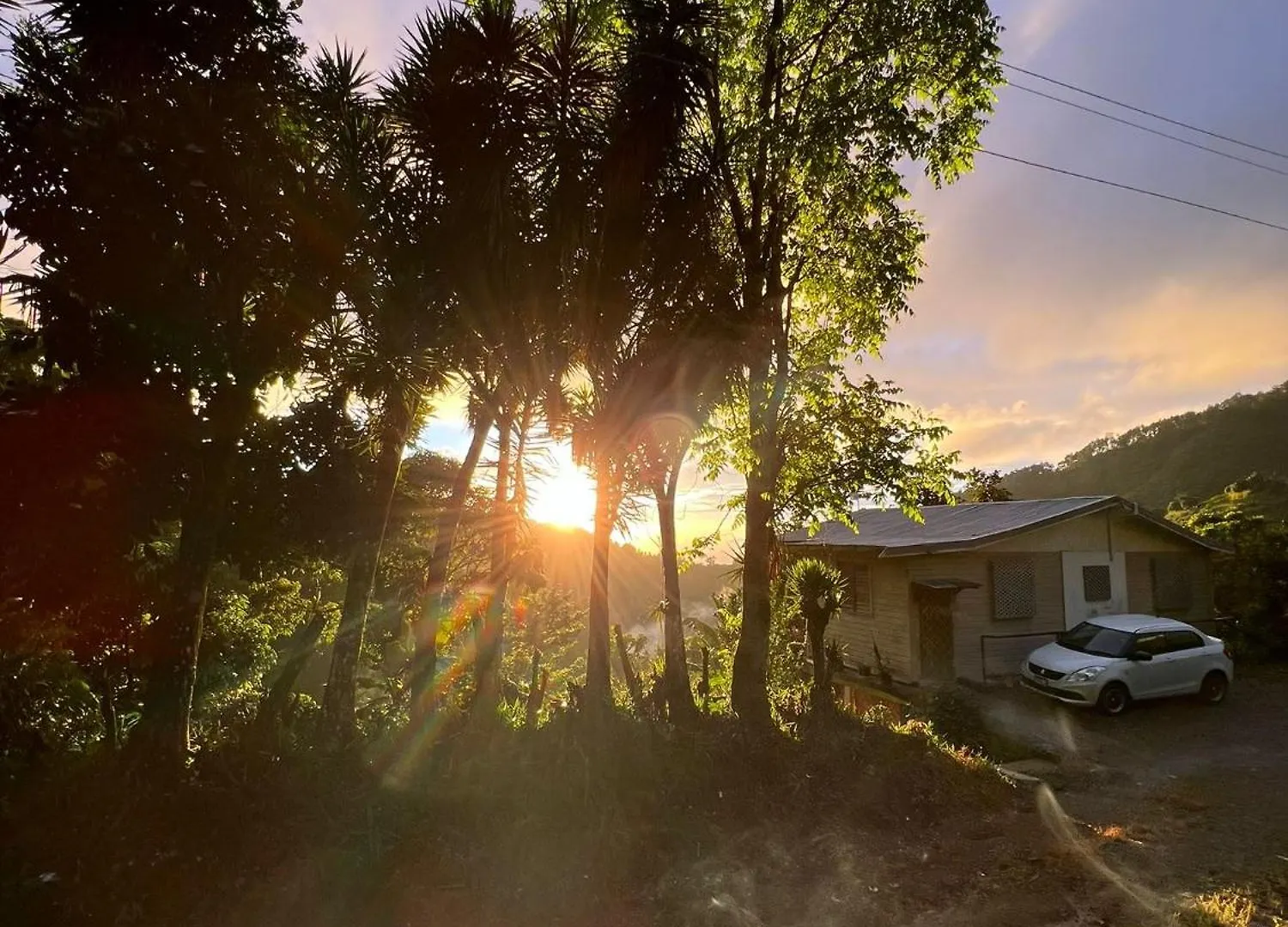 Adella'S Blue Mountain Coffee Farmstay Kingston